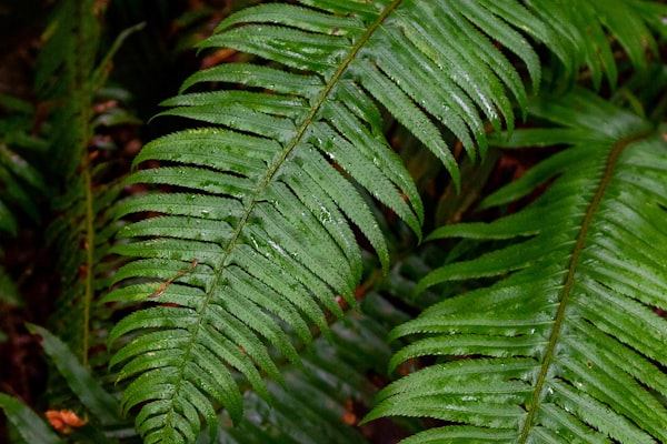 Ongoing support and optimisation